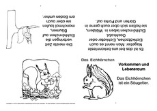 Eichhörnchen-Faltbuch-Vorkommen und Lebensraum.pdf
